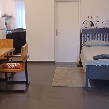 Studio Apartman Ada 萨莫博尔 外观 照片