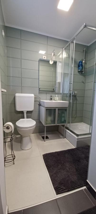 Studio Apartman Ada 萨莫博尔 外观 照片