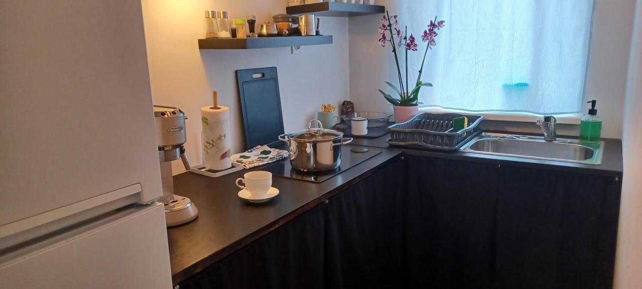 Studio Apartman Ada 萨莫博尔 外观 照片